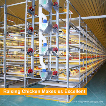 Fabricant Chine H Type Automatic Broiler Poultry Farm Cage Design